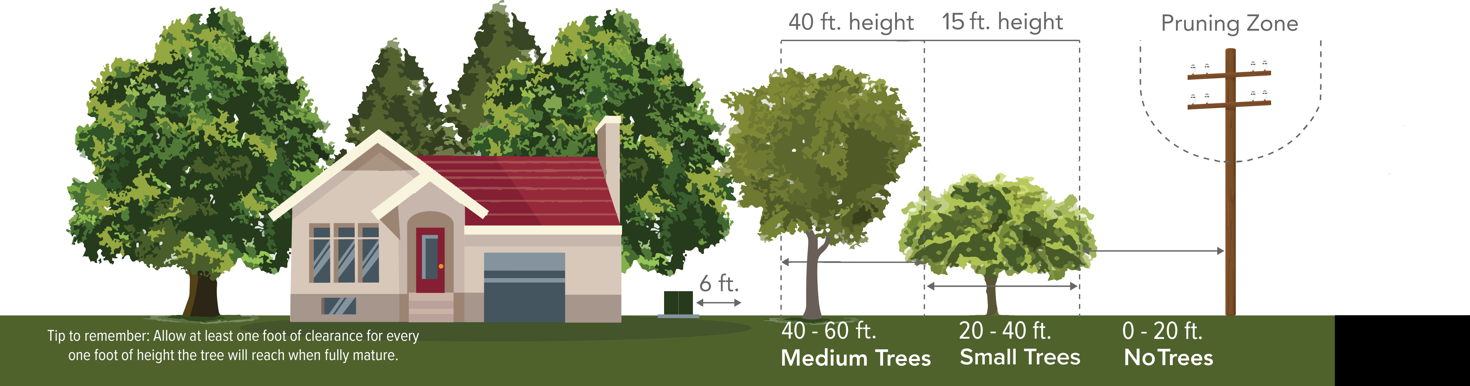 tree planting guide