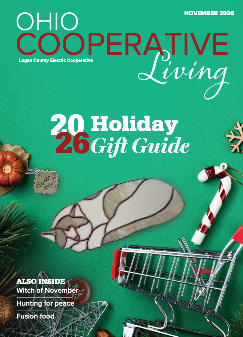November Cover